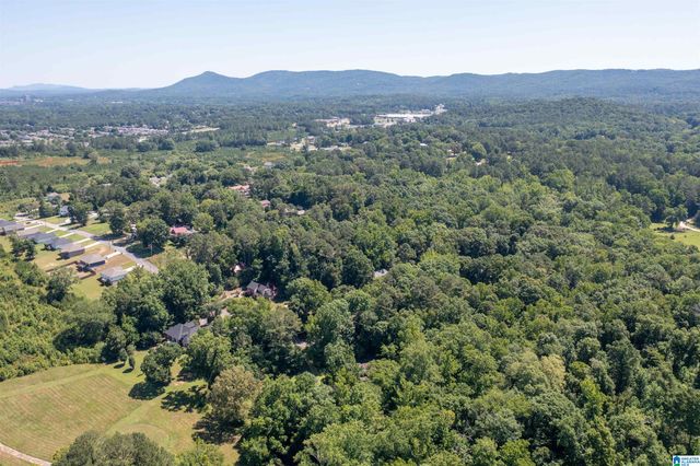1615 FAIRWAY DRIVE SW, Jacksonville, AL 36265