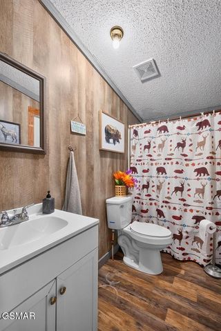 455 McGaha Chapel Road, Cosby, TN 37722