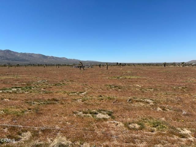 0 Buena Vista Road, Lucerne Valley, CA 92356