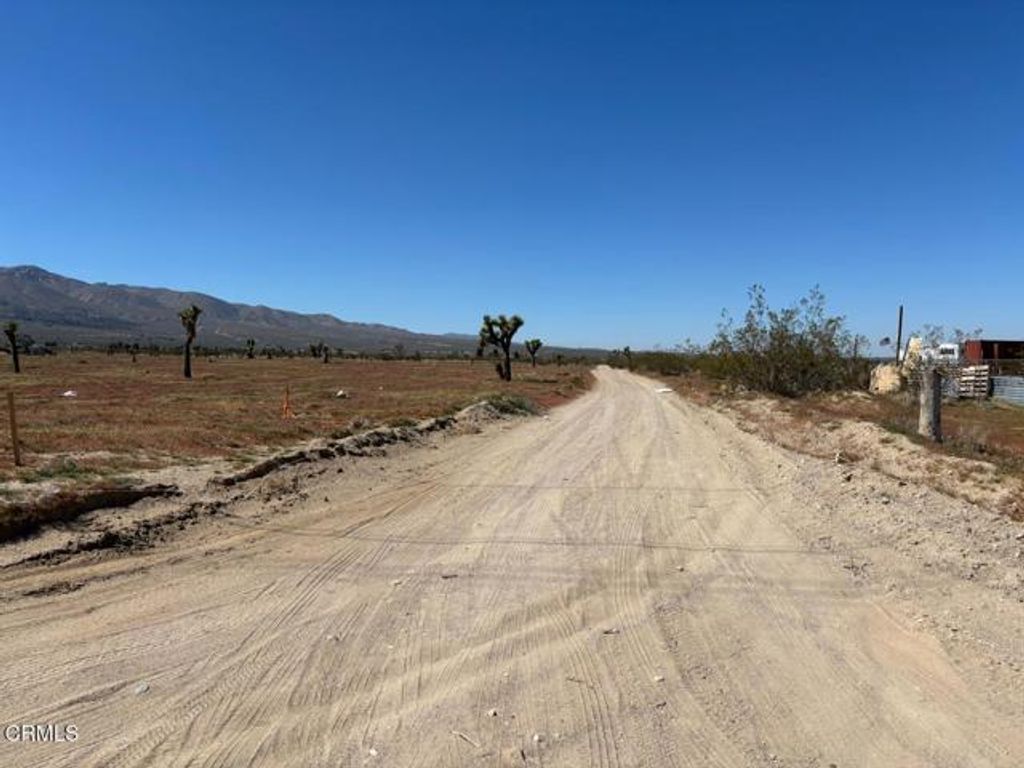 0 Buena Vista Road, Lucerne Valley, CA 92356
