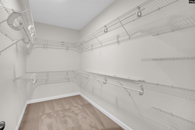 510 House Wren Lane, Blythewood, SC 29016