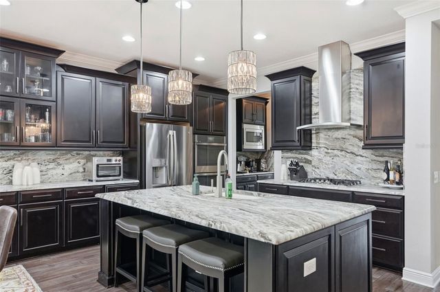 1897 FOX GRAPE LOOP, Lutz, FL 33558