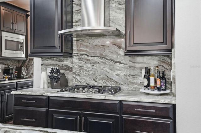 1897 FOX GRAPE LOOP, Lutz, FL 33558