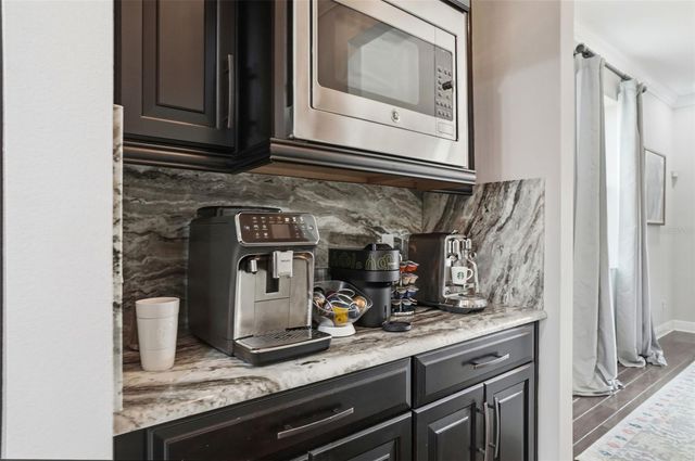 1897 FOX GRAPE LOOP, Lutz, FL 33558