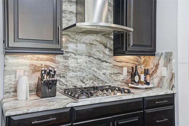 1897 FOX GRAPE LOOP, Lutz, FL 33558