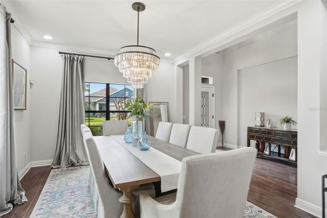 1897 FOX GRAPE LOOP, Lutz, FL 33558