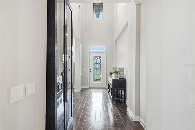 1897 FOX GRAPE LOOP, Lutz, FL 33558