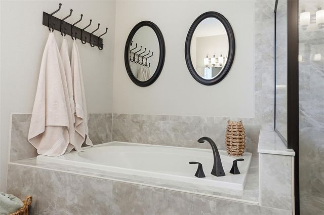 1897 FOX GRAPE LOOP, Lutz, FL 33558