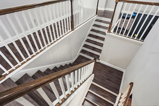 1897 FOX GRAPE LOOP, Lutz, FL 33558