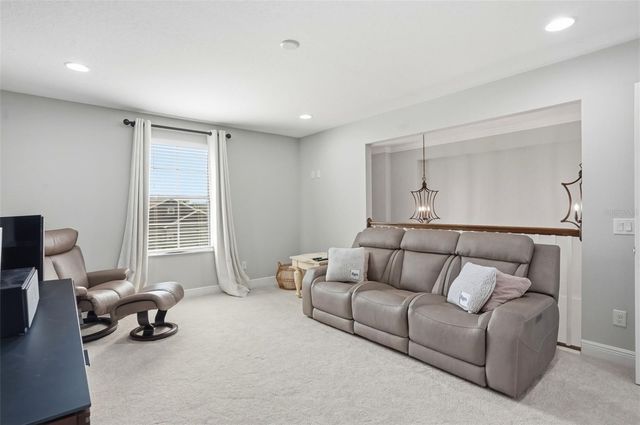 1897 FOX GRAPE LOOP, Lutz, FL 33558