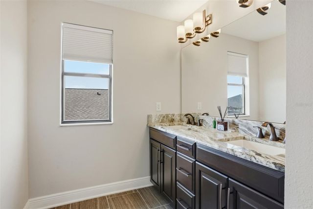 1897 FOX GRAPE LOOP, Lutz, FL 33558