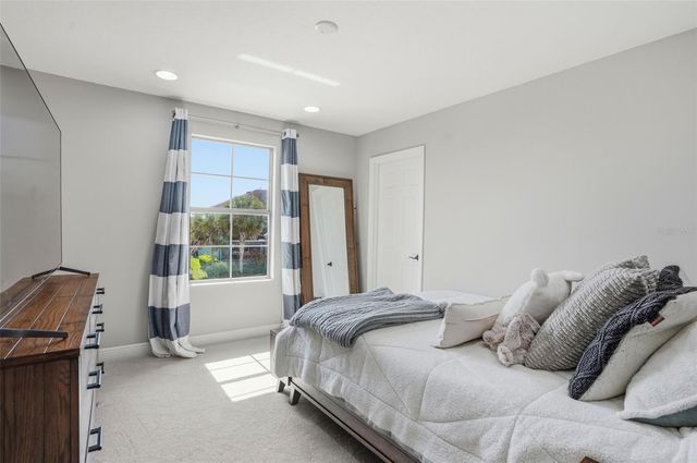 1897 FOX GRAPE LOOP, Lutz, FL 33558