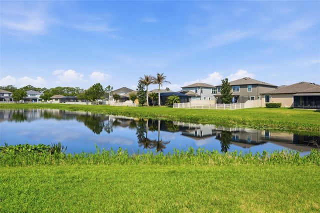 1897 FOX GRAPE LOOP, Lutz, FL 33558