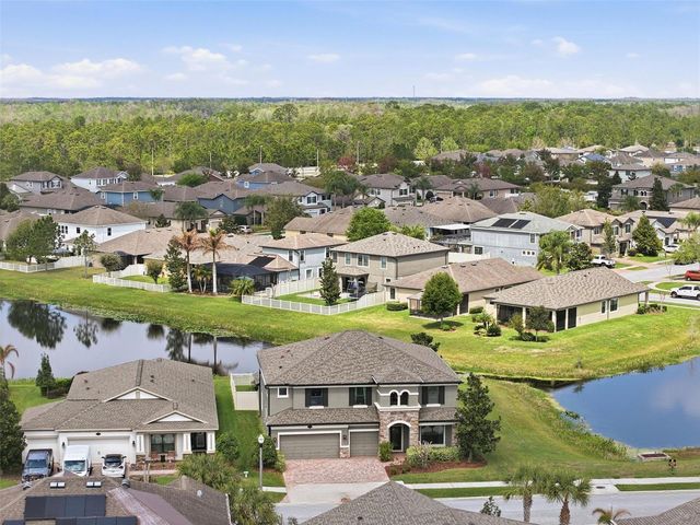 1897 FOX GRAPE LOOP, Lutz, FL 33558