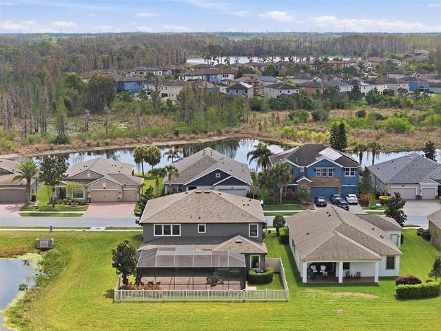 1897 FOX GRAPE LOOP, Lutz, FL 33558