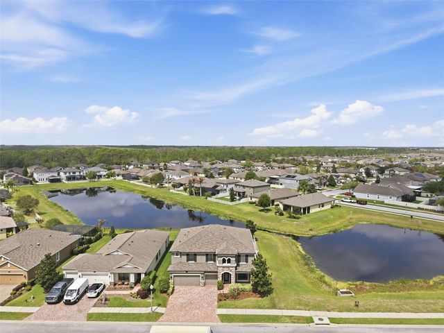 1897 FOX GRAPE LOOP, Lutz, FL 33558