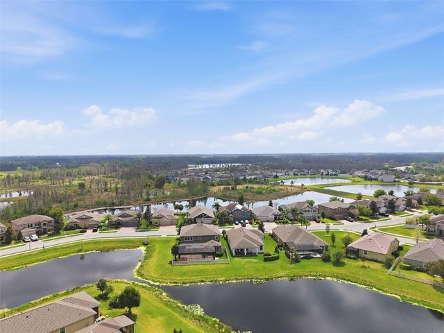 1897 FOX GRAPE LOOP, Lutz, FL 33558