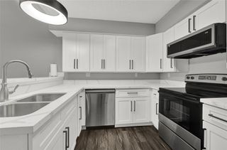 12111 Lemon Ridge Lane 121, Houston, TX 77035