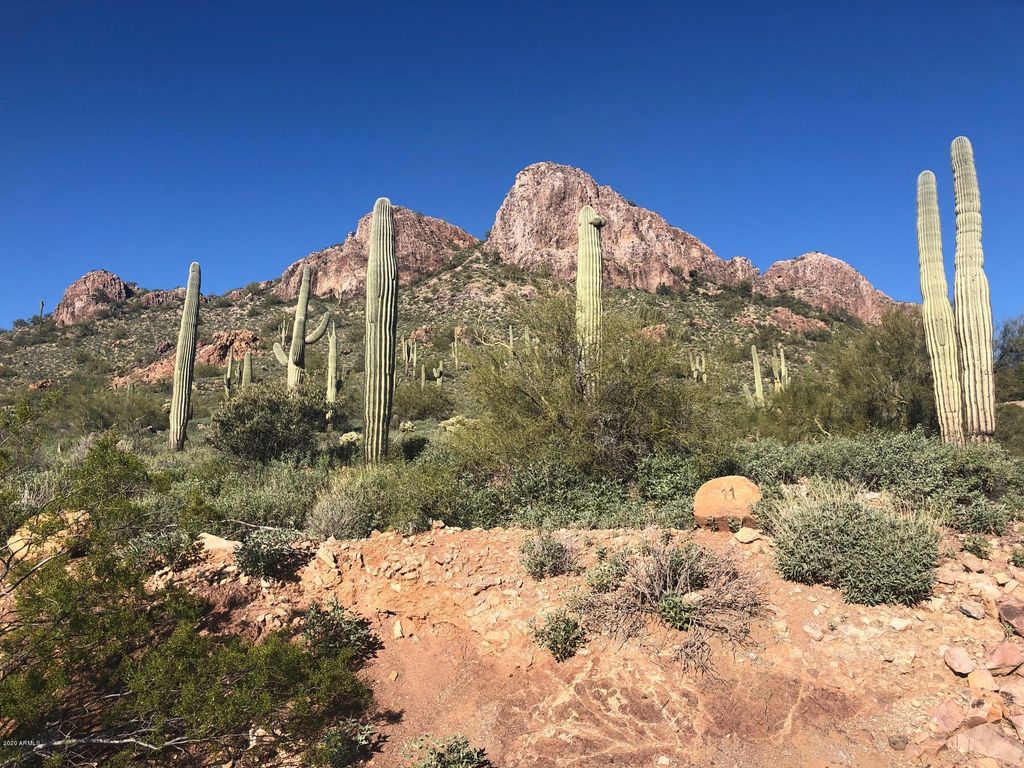 9776 E DEAD SURE Place 11, Gold Canyon, AZ 85118 — photo 2