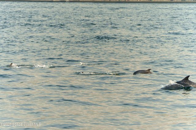 2880 S Atlantic Avenue 202, Cocoa Beach, FL 32931