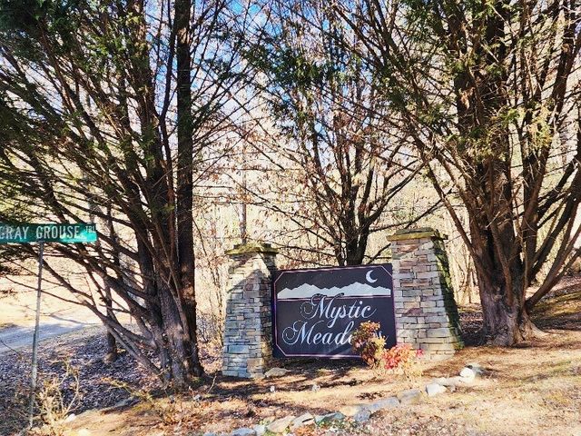 L17 Gray Grouse Trail, Murphy, NC 28906