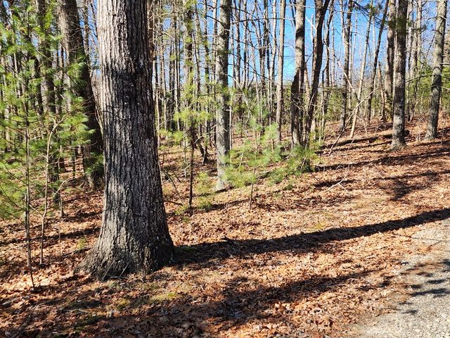 L17 Gray Grouse Trail, Murphy, NC 28906