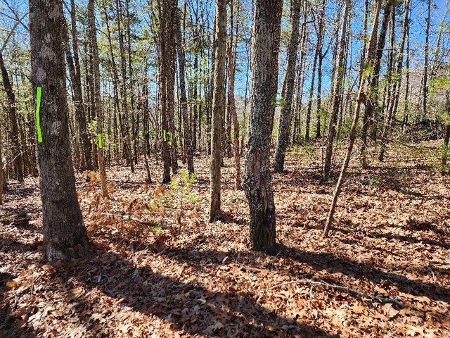 L17 Gray Grouse Trail, Murphy, NC 28906