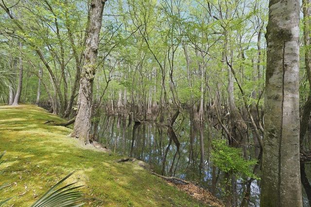 150 Franks Lane, Ridgeville, SC 29472
