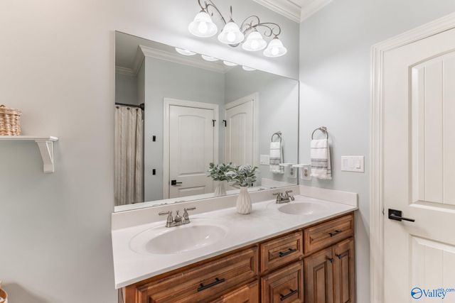 13219 Newby Plantation Lane, Athens, AL 35613