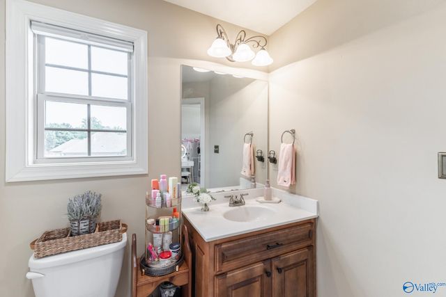 13219 Newby Plantation Lane, Athens, AL 35613