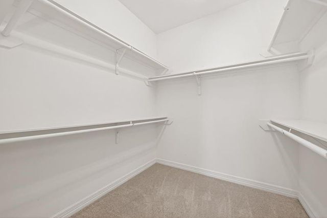 13602 Masonwood Field Ct, Cypress, TX 77429