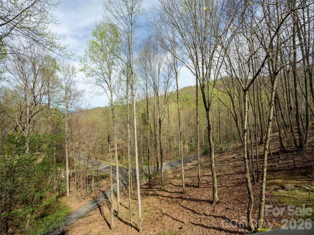 417 Blue Mist Way, Arden, NC 28704