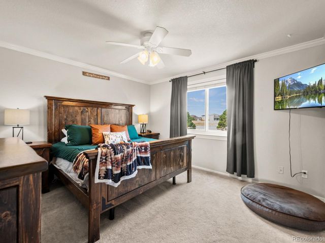 4833 Eckert Street, Castle Rock, CO 80104