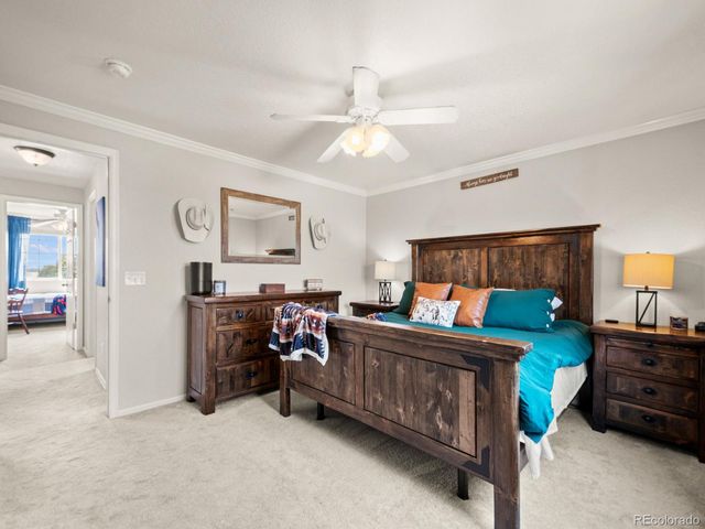4833 Eckert Street, Castle Rock, CO 80104