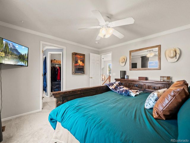 4833 Eckert Street, Castle Rock, CO 80104