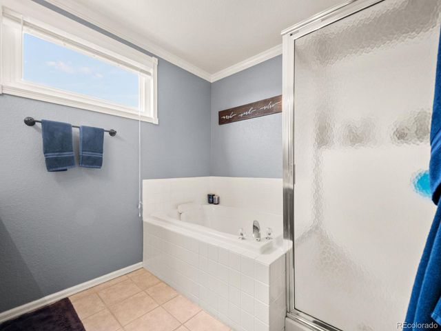 4833 Eckert Street, Castle Rock, CO 80104