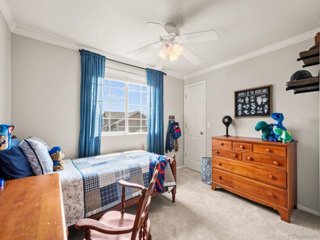 4833 Eckert Street, Castle Rock, CO 80104