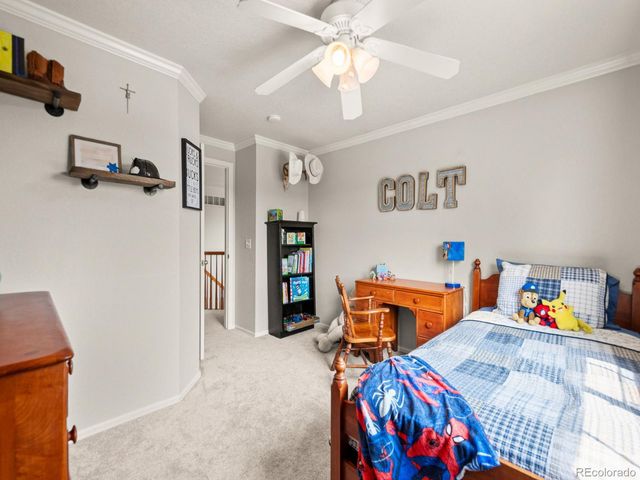 4833 Eckert Street, Castle Rock, CO 80104