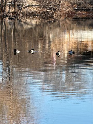 29 North Shore Circle, Waco, TX 76708