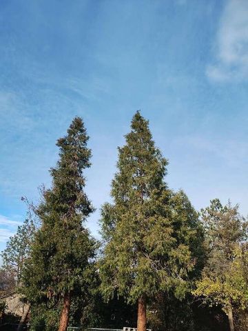 2145 Springbrook, Medford, OR 97504