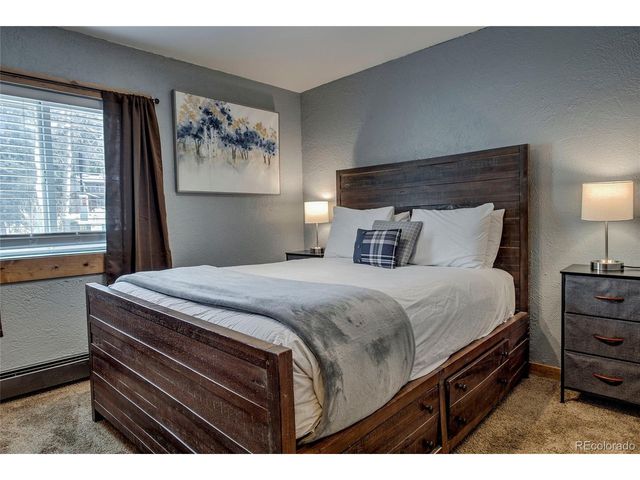 214 S Harris St 106, Breckenridge, CO 80424