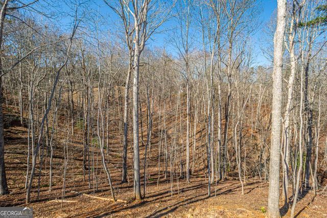 1415 Calhoun Road, Dahlonega, GA 30533