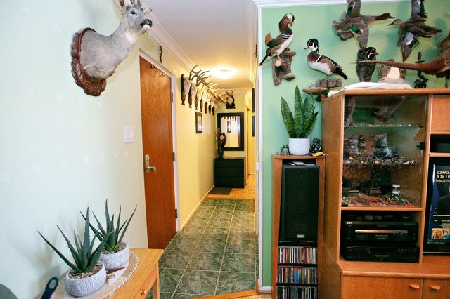 9717 S Keeler Avenue 209, Oak Lawn, IL 60453