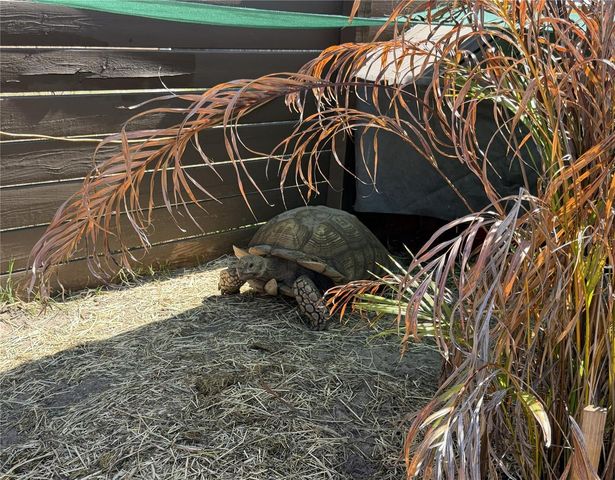 1501 AVALON BOULEVARD, Casselberry, FL 32707