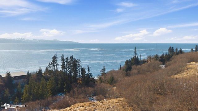 725 Sterling Highway, Homer, AK 99603