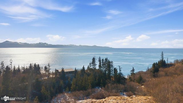 725 Sterling Highway, Homer, AK 99603