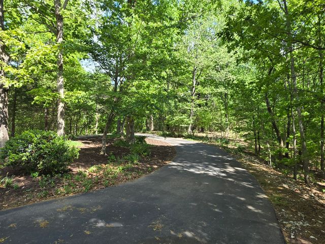 1050 Red Top Hill Rd, Buchanan, TN 38222