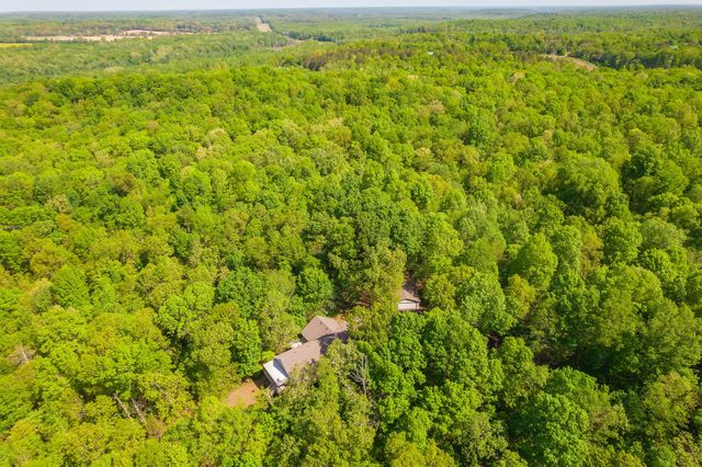 1050 Red Top Hill Rd, Buchanan, TN 38222