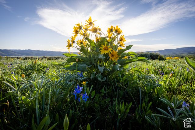 1235 E Hoyt Peak Ranch Rd 5&6, Marion, UT 84036