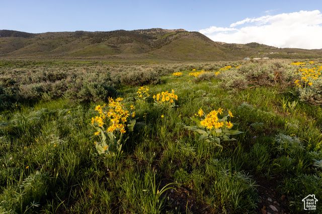 1235 E Hoyt Peak Ranch Rd 5&6, Marion, UT 84036